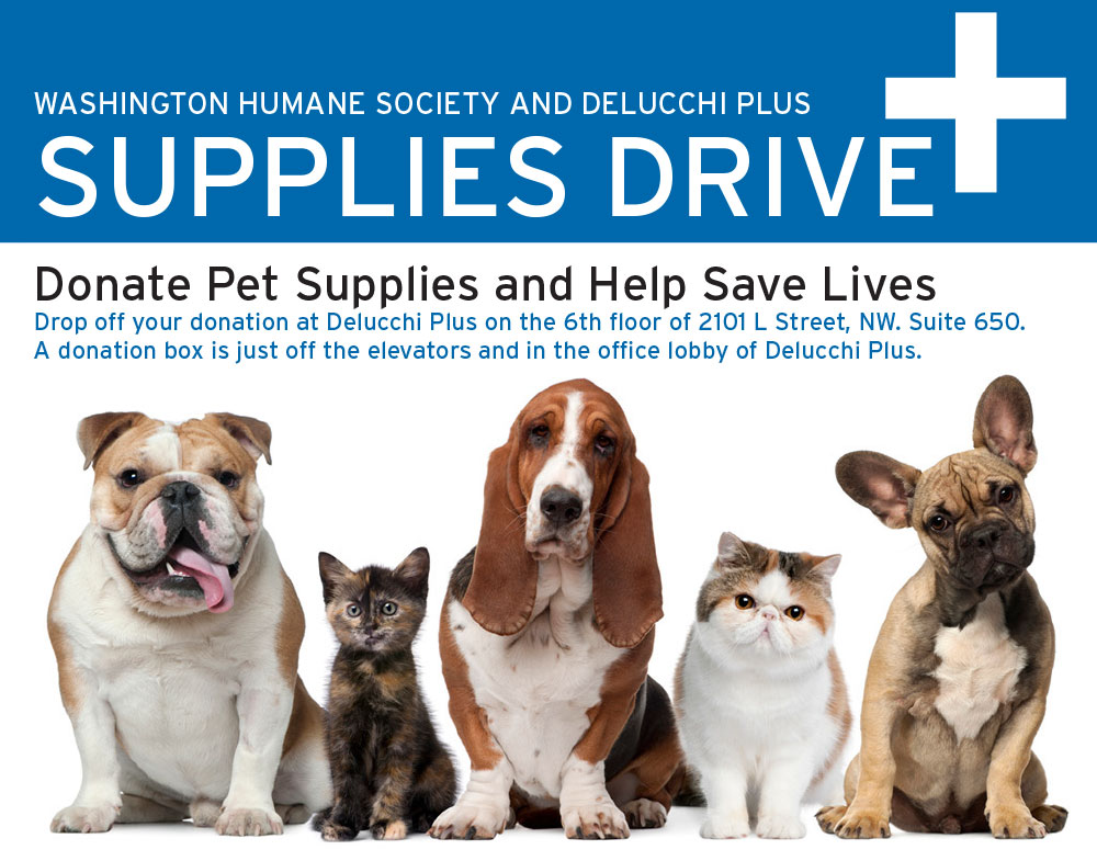 Delucchi Plus and Humane Society Supply Drive